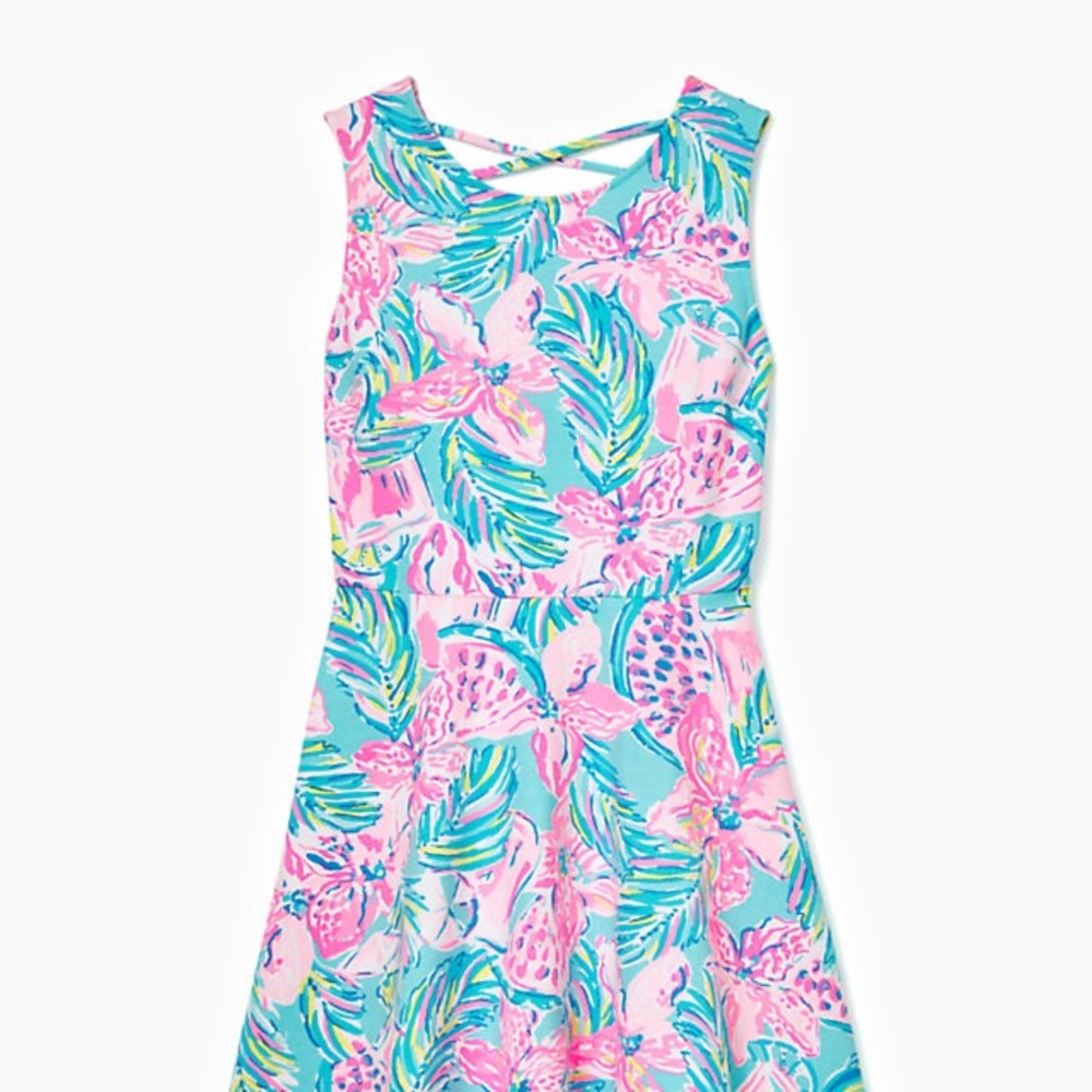 Lilly Pulitzer Carice dress